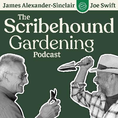 Introducing ... The James and Joe Garden Show