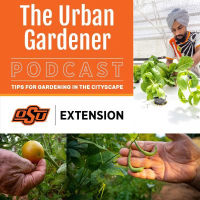 Episode 39: The Art of Harvesting Vegetables