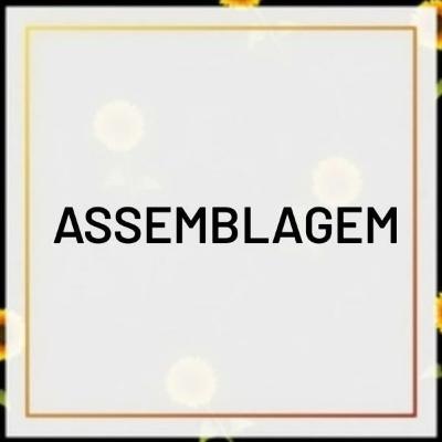 Assemblagem