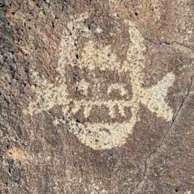 The Epstein Petroglyph Files The Epstein Petroglyph Files