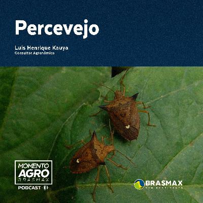 Momento AGRO Brasmax #11 - Percevejo