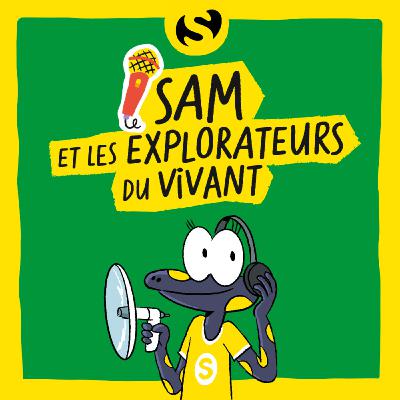 Episode 3 : Pourquoi faut-il laisser vieillir les forêts ? Episode 3 : Pourquoi faut-il laisser vieillir les forêts ?