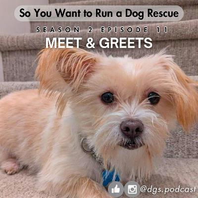 2.11: Navigating the Adoption Process - Meet and Greets Demystified