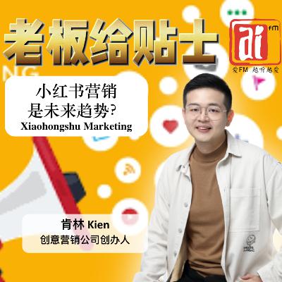 《老板给贴士》 小红书营销 XiaoHongShu
