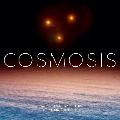 Plasma, Consciousness & the Future of Anomalous Studies