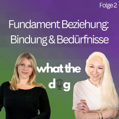 #2 Fundament Beziehung: Bindung & Bedürfnisse