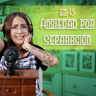 E.13 - Ansiedad por Separación. E.13 - Ansiedad por Separación.