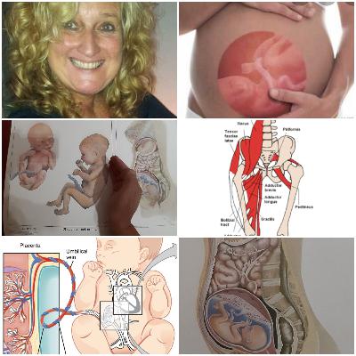 Signalen van je lichaam tijdens de zwangerschap met name tussen 20 en 30 weken zwangerschap