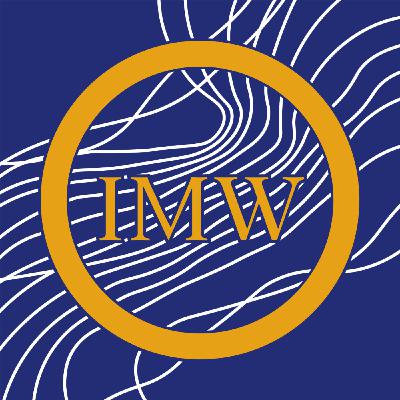 Türkische Polizei nutzt Gesichtserkennung gegen Demonstrierende