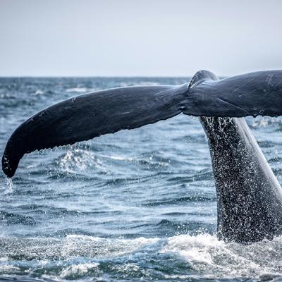 EP.260 國際媒體一致推薦→2026年必玩這個｜一次講完50大最佳旅遊體驗