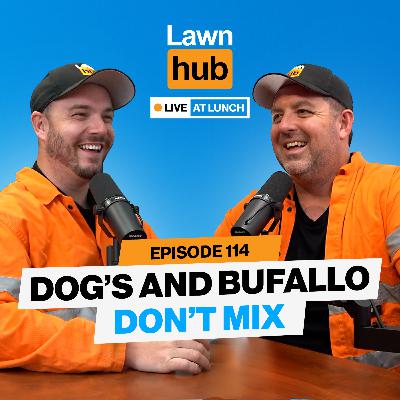 My Dog is Destroying My Buffalo | Lawnhub Live EP 114