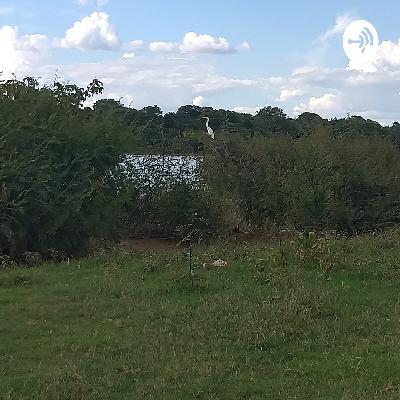 Texto diário para consideração pessoal ou em família hoje dia 05 de dezembro de 2020