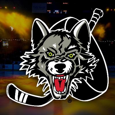 Chicago Wolves: Life Under The Pandemic Trailer