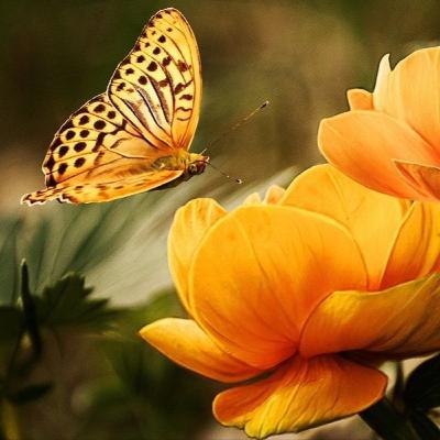 El Exito y el Fracaso