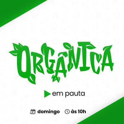 Livro "Sítio Ecológico - um guia para salvar a Terra", de Moisés Matias, completa 20 anos, e perspectivas ambientais do maranhão continuam preocupantes
