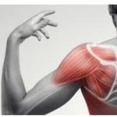#58 - management of rotator cuff tendinopathy #58 - management of rotator cuff tendinopathy