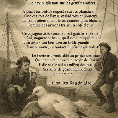 L'albatros