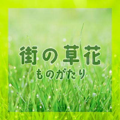 亜麻色の髪の乙女とアマニ油 #016