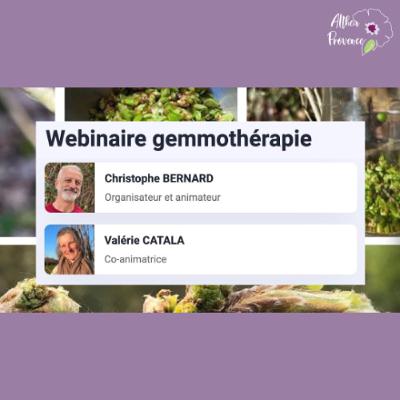 Gemmothérapie - replay du webinaire avec Valérie Catala