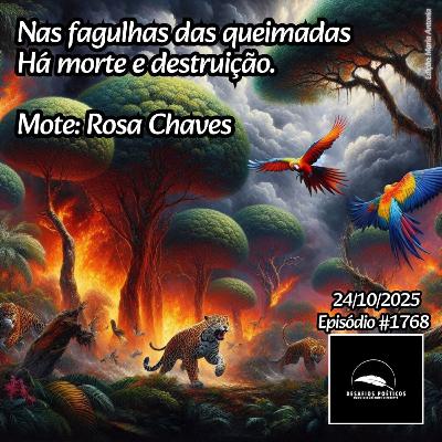 Nas fagulhas das queimadas, há morte e destruição. Mote: Rosa Chaves. #1768 Nas fagulhas das queimadas, há morte e destruição. Mote: Rosa Chaves. #1768