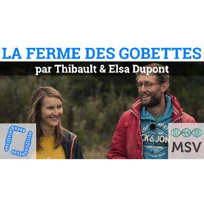 Portrait de ferme MSV - La Ferme des Gobettes (27) - Thibault & Elsa Dupont - 2020