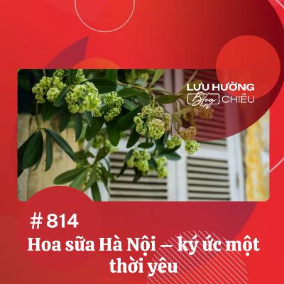 Hoa sữa Hà Nội - ký ức một thời yêu | Lưu Hường blog chiều | Đài Hà Nội Hoa sữa Hà Nội - ký ức một thời yêu | Lưu Hường blog chiều | Đài Hà Nội