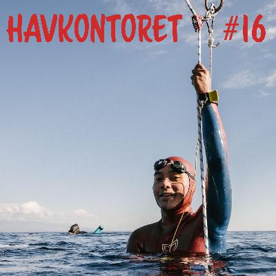 Havkontoret 16 - Nico Guzman