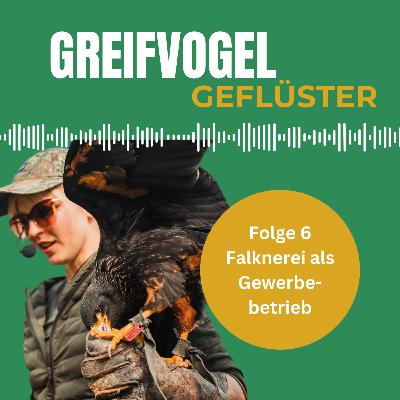 Falknerei als Gewerbebetrieb - Interview mit Sandra Jung