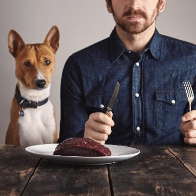 The Benefits of Raw Pet Food The Benefits of Raw Pet Food