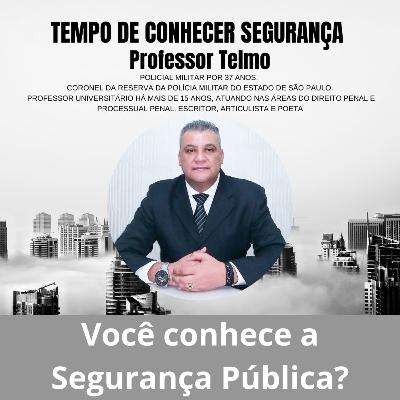 Você conhece a Segurança Pública? Você conhece a Segurança Pública?