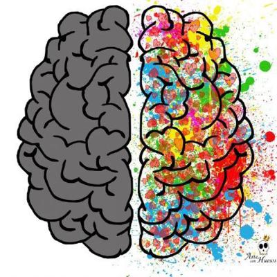 Neuroeducación