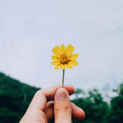 Routine & Mindset: Gesund denken, glücklicher leben!