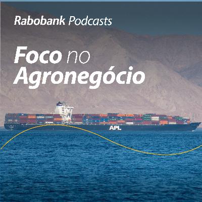 Olho no Mercado I Impactos do conflito Israel e Irã para o mercado de fertilizantes