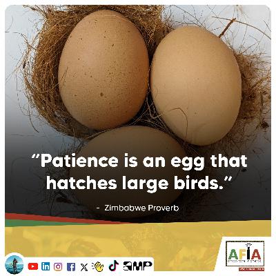 Patience is an Egg That Hatches Large Birds | Zimbabwe Proverb | AFIAPodcast Patience is an Egg That Hatches Large Birds | Zimbabwe Proverb | AFIAPodcast