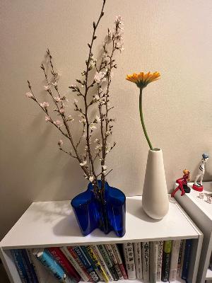 TRPおつかれさまでした！ from Radiotalk