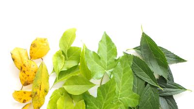 Episode 13: Putting The “Radical” In Radical Self-Care Episode 13: Putting The “Radical” In Radical Self-Care