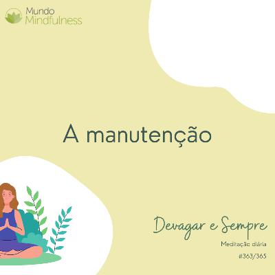 "Devagar e Sempre" - 363 de 365 - A manutenção