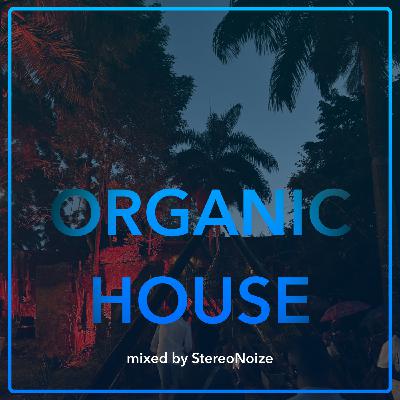 Episode 3: Organic House 2025-11
