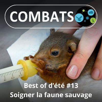 BEST OF D'ÉTÉ #13 : Soigner la faune sauvage 13/13
