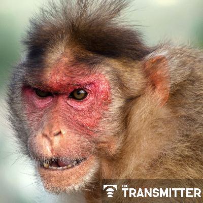 Some facial expressions are less reflexive than previously thought