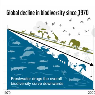 140. Airborne Biodiversity Genomics – global-scale nature, wildlife and pathogen monitoring 140. Airborne Biodiversity Genomics – global-scale nature, wildlife and pathogen monitoring
