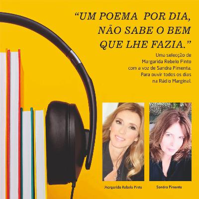 VALE- Amadeu do Vale - Fado da Sina