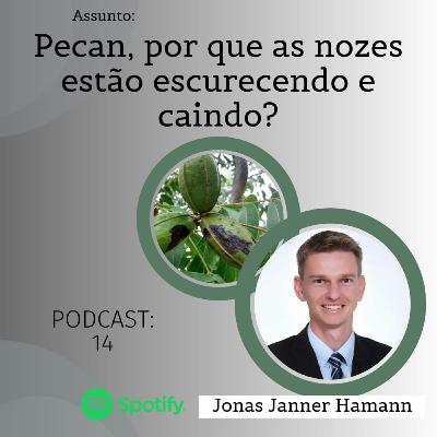 14 - Pecan, por que as nozes estão escurecendo e caindo