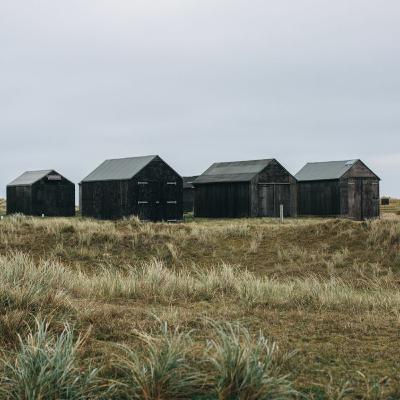 Episode 7 - Cooking Sections Episode 7 - Cooking Sections