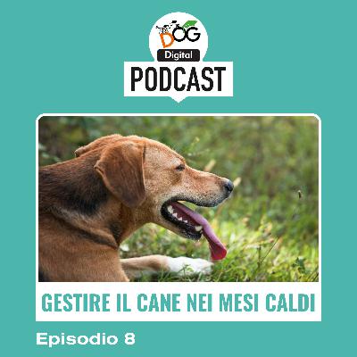 Gestione del cane nei mesi più caldi Gestione del cane nei mesi più caldi