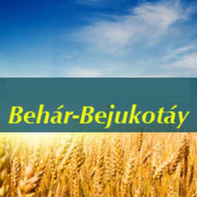 Comentario 1 a Parashót BeHár-BeJuqotáy_Con Kfir Ben Yehudáh