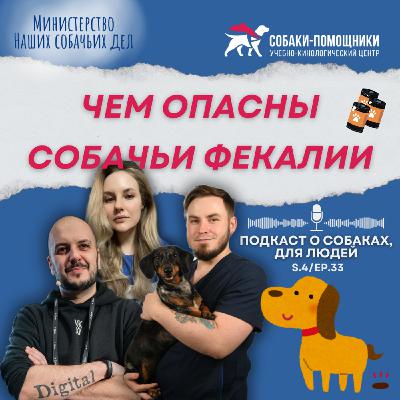 Собачьи экскременты. Физиологические и социальные нормы.
