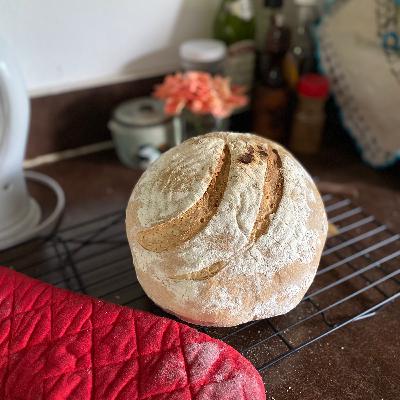 Daily life in Panama - waking with the sun, coffee with the birds, farm stuff, beach days, church, baking bread and more.