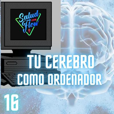 EL CEREBRO COMO ORDENADOR