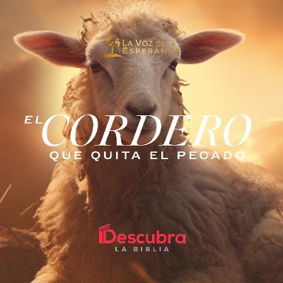 El Cordero que Quita el Pecado